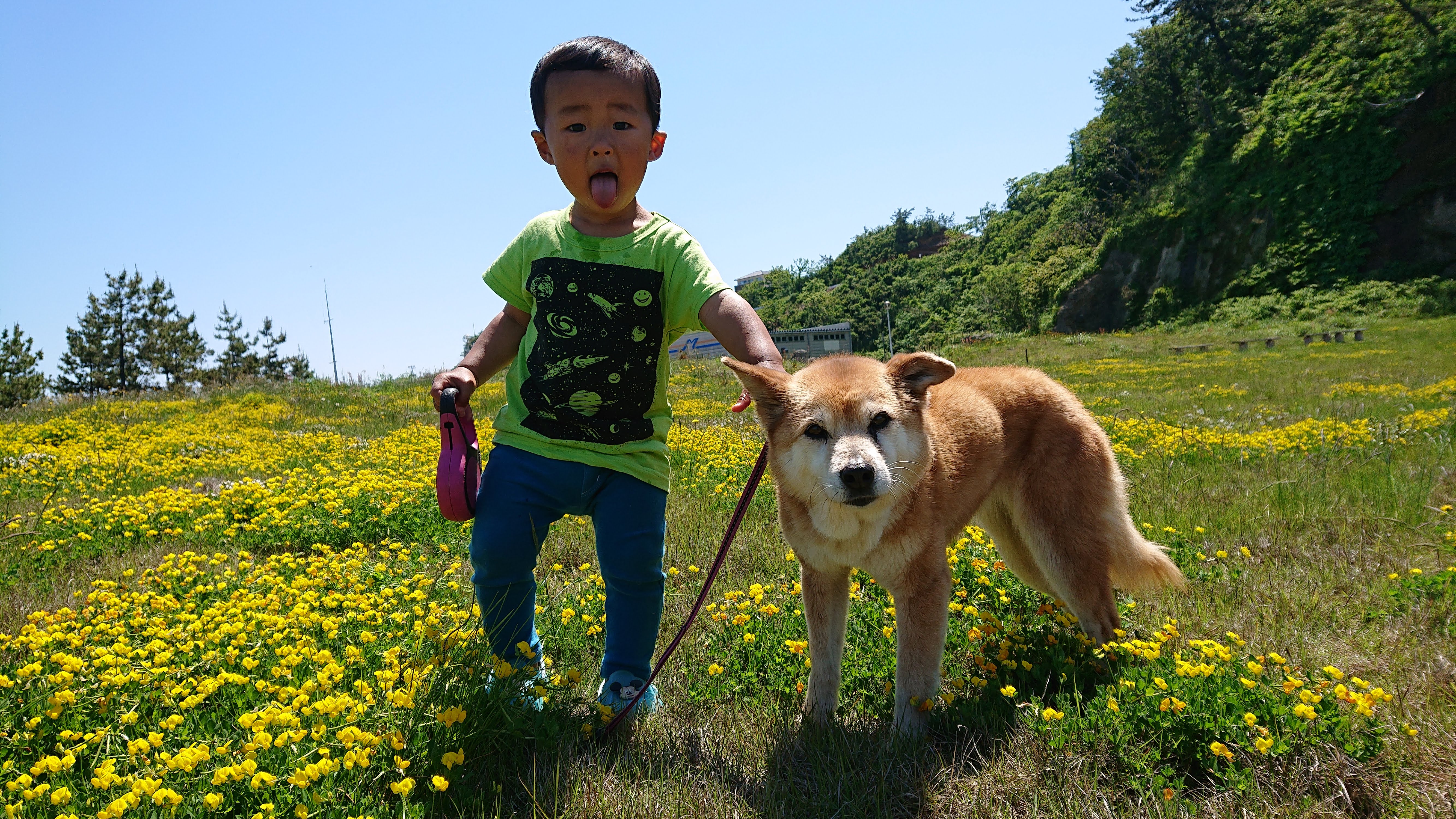 老犬と子１