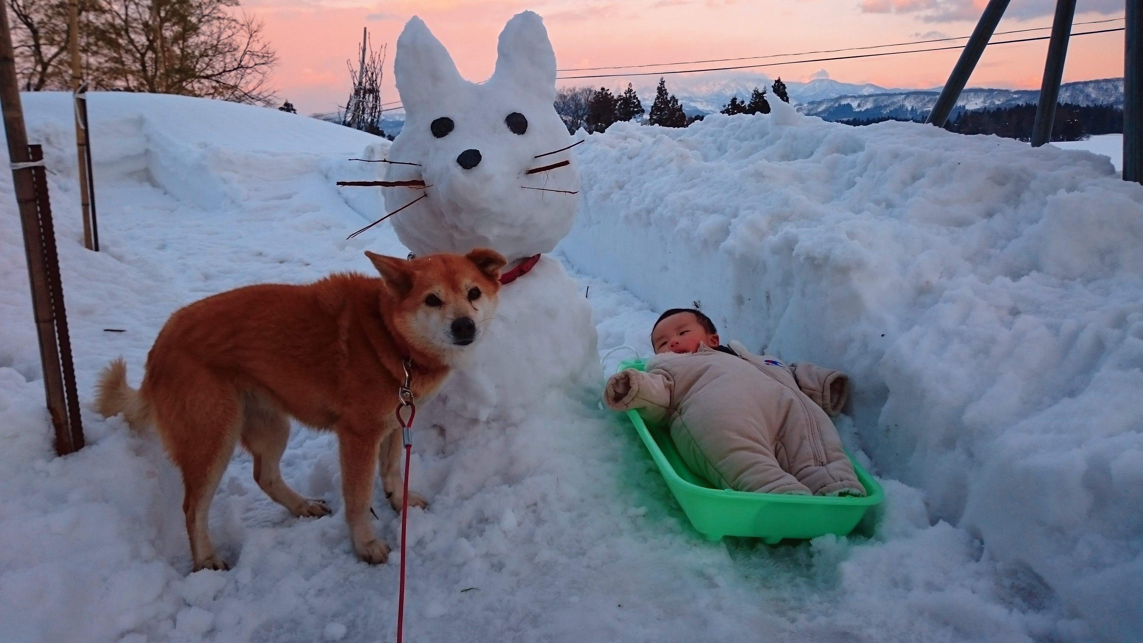 老犬と子３