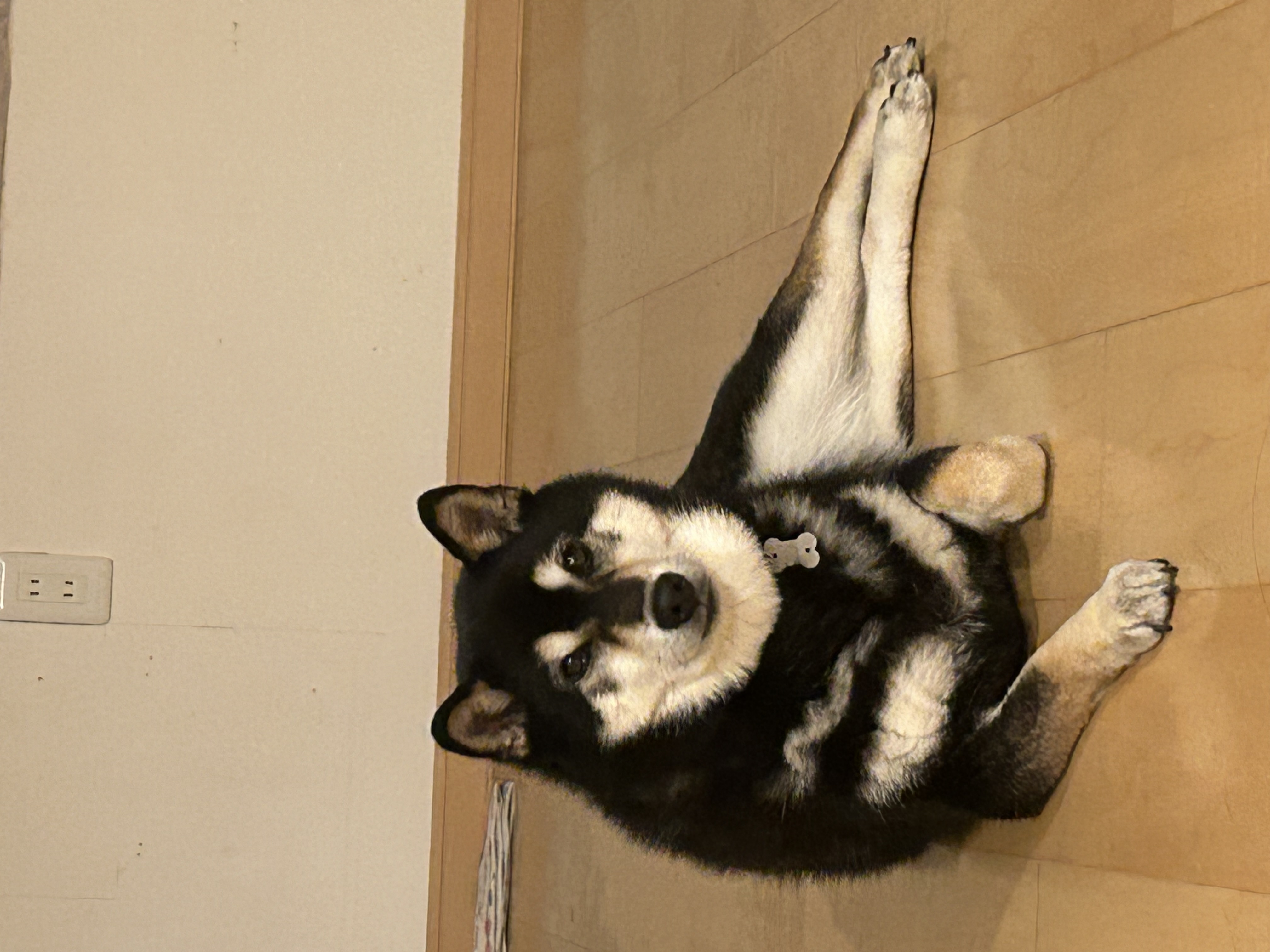 とにかく明るい松村