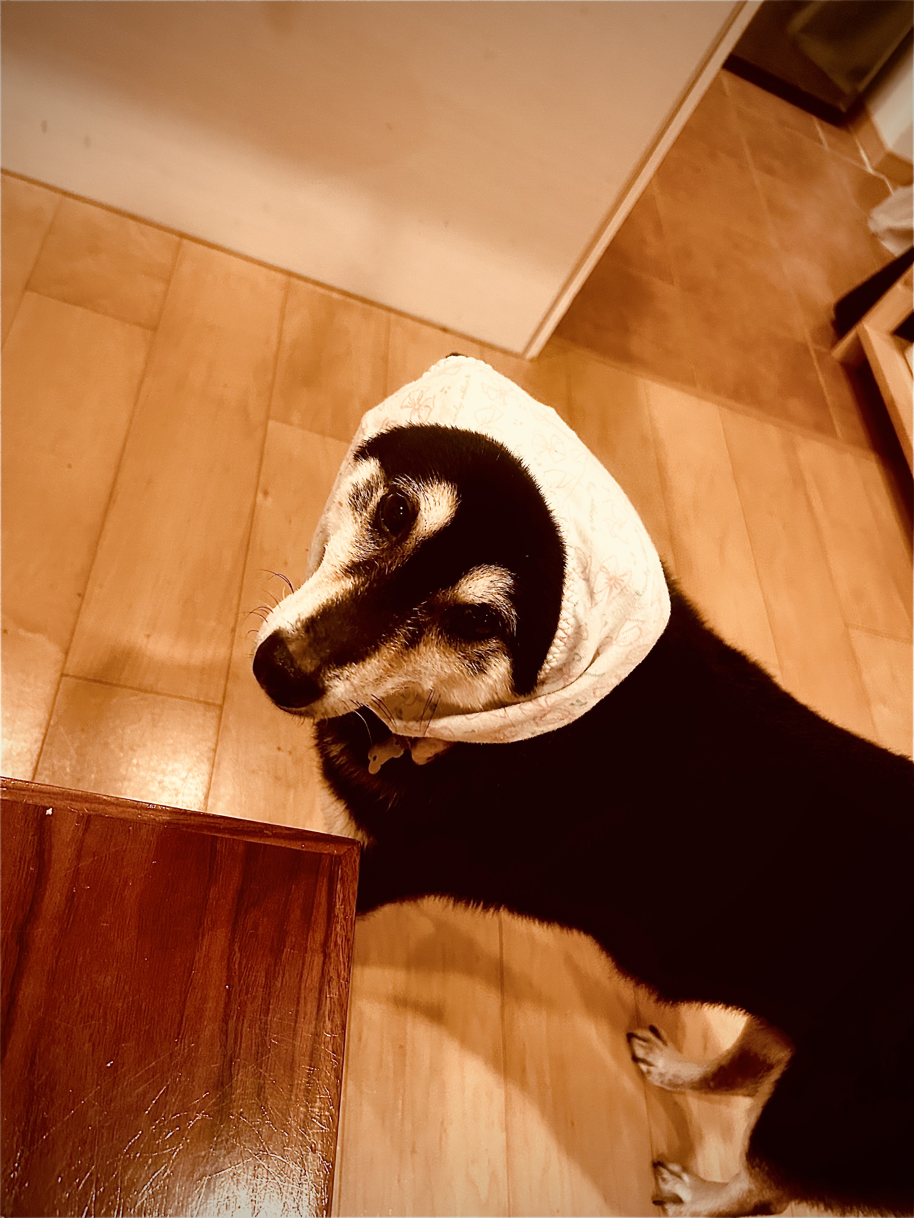 とにかく明るい松村パート②