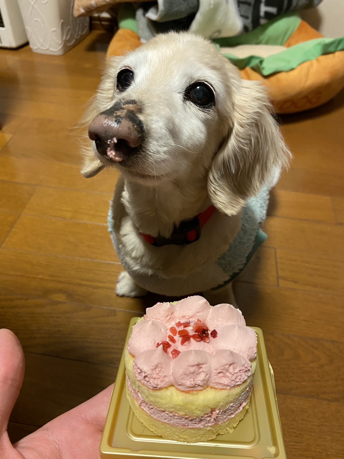 まだかな、まだかなー