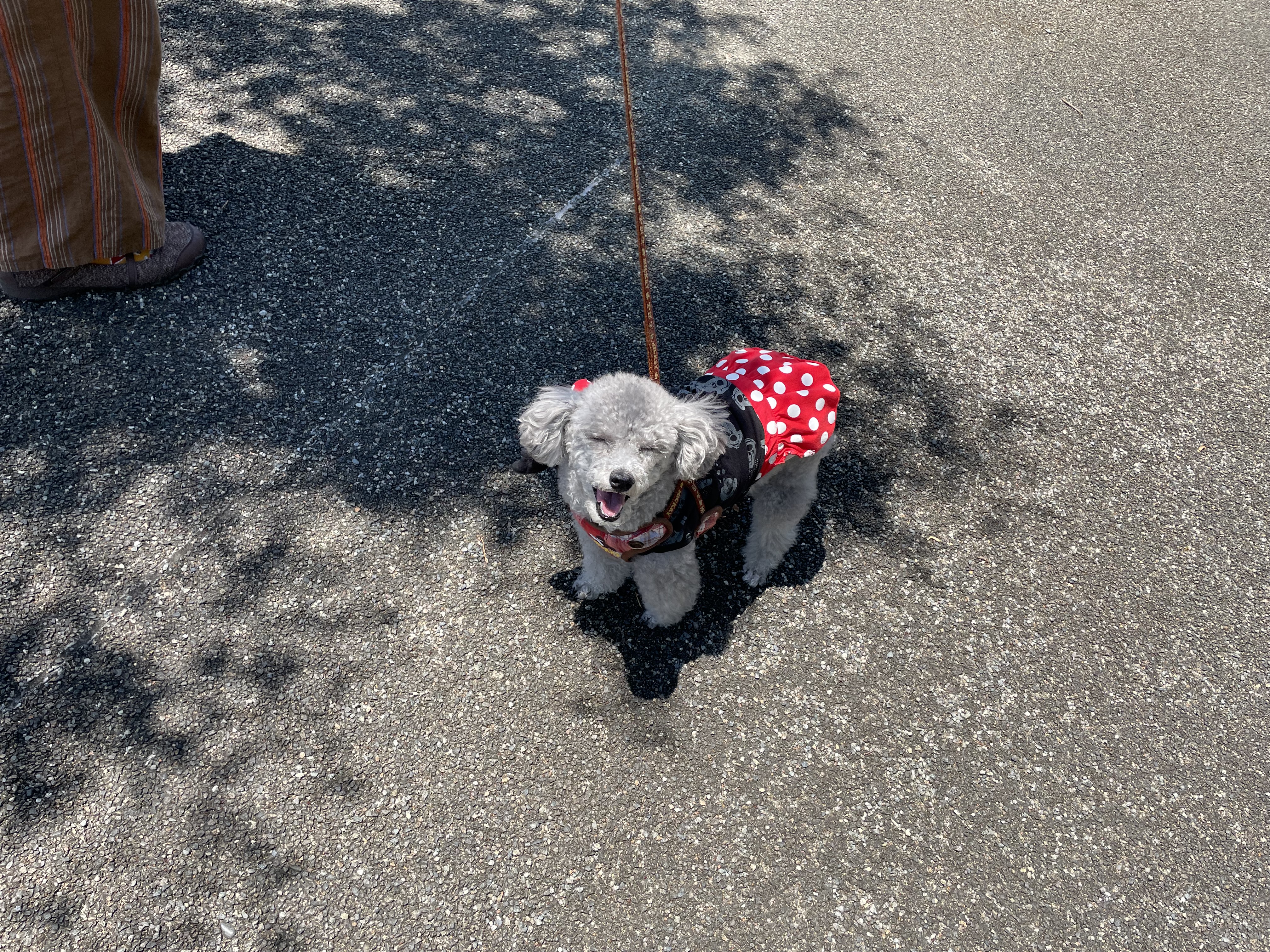 思い出いっぱい更新中①