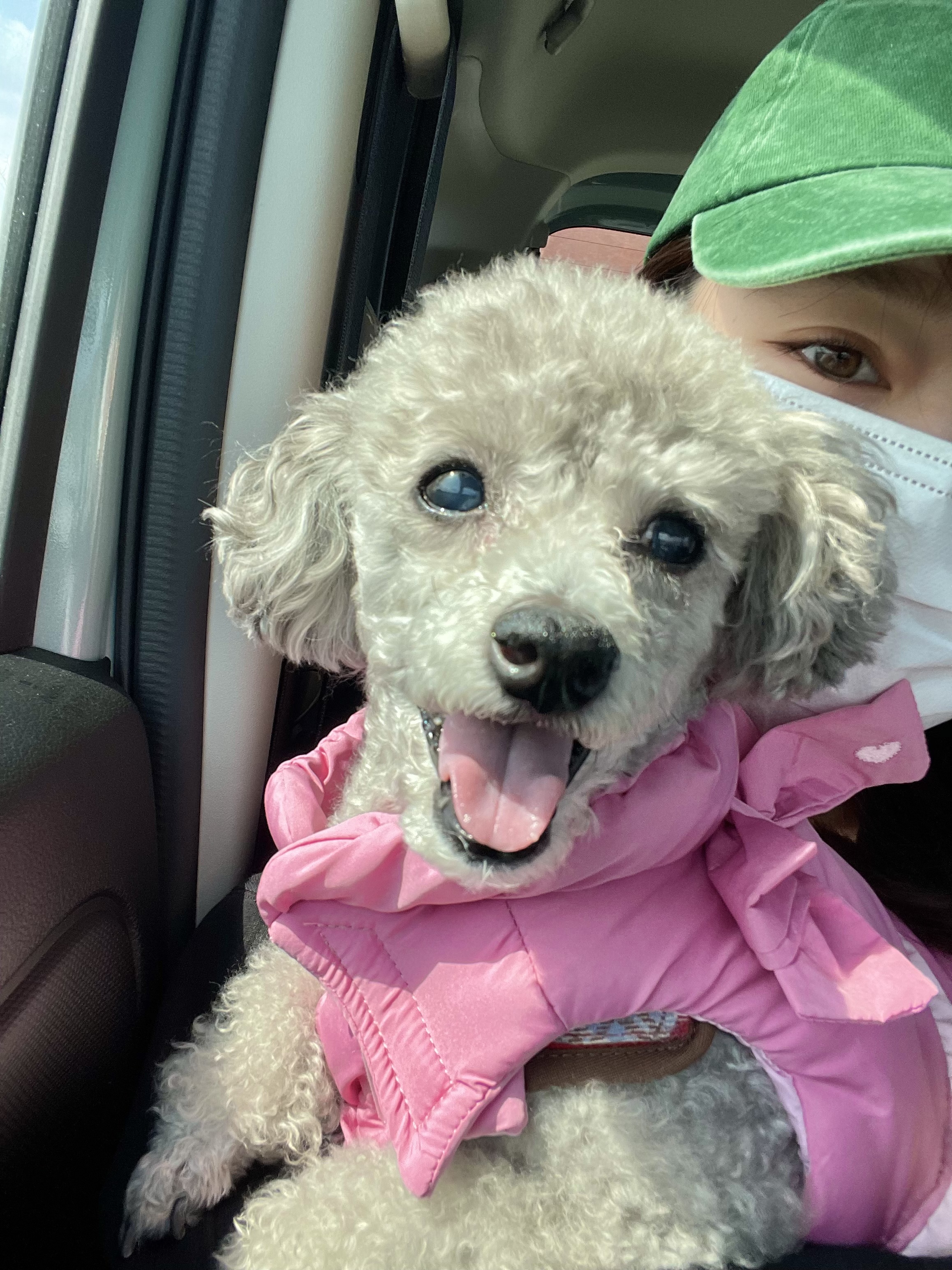 思い出いっぱい更新中③