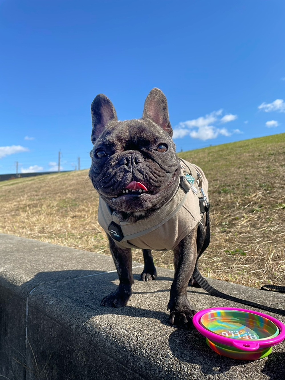 ごきげんぶんた1