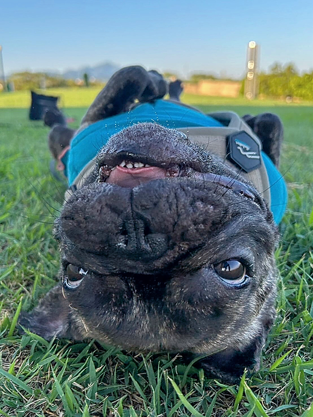 ごきげんぶんた3