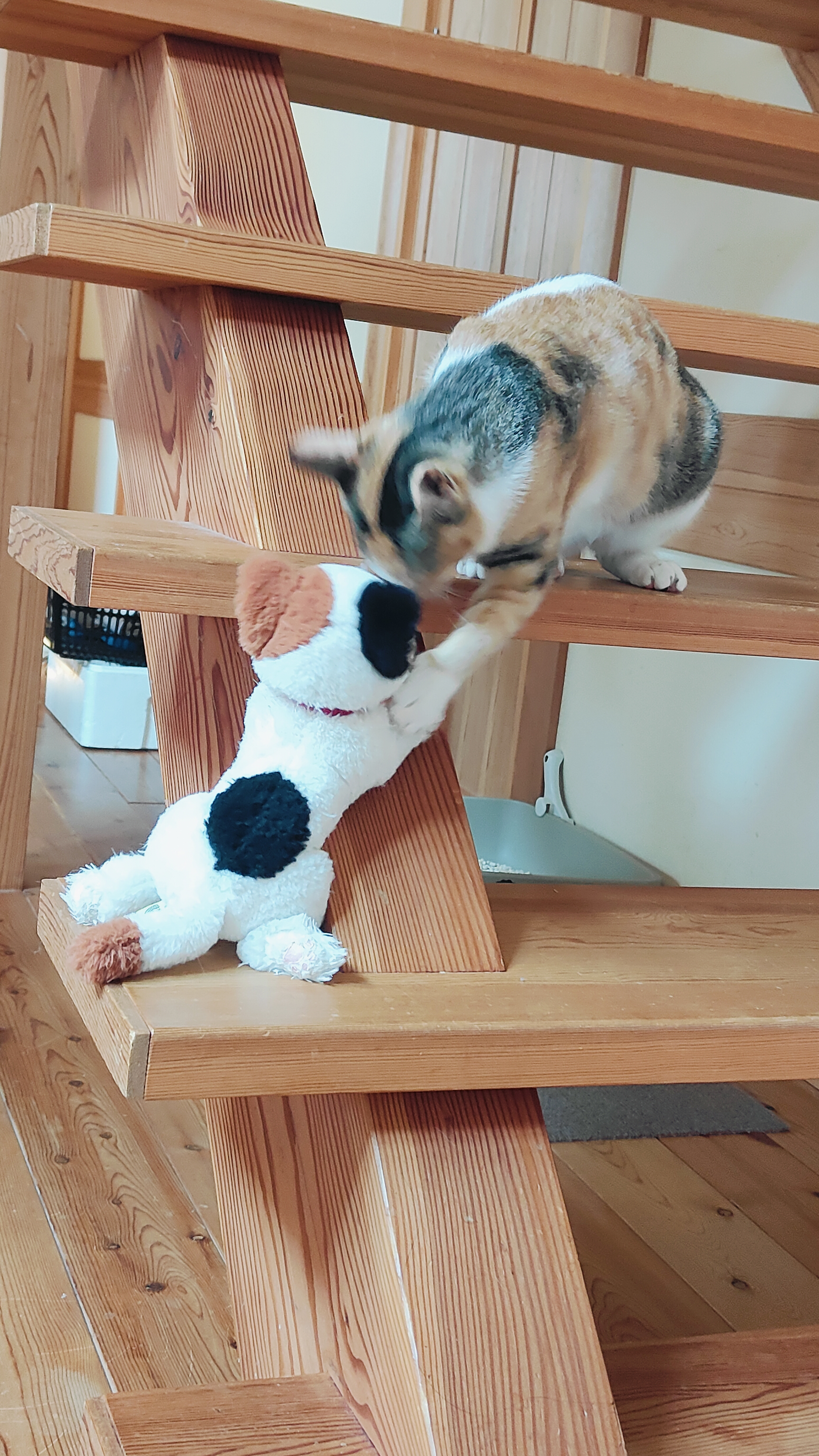 私が主役よ！