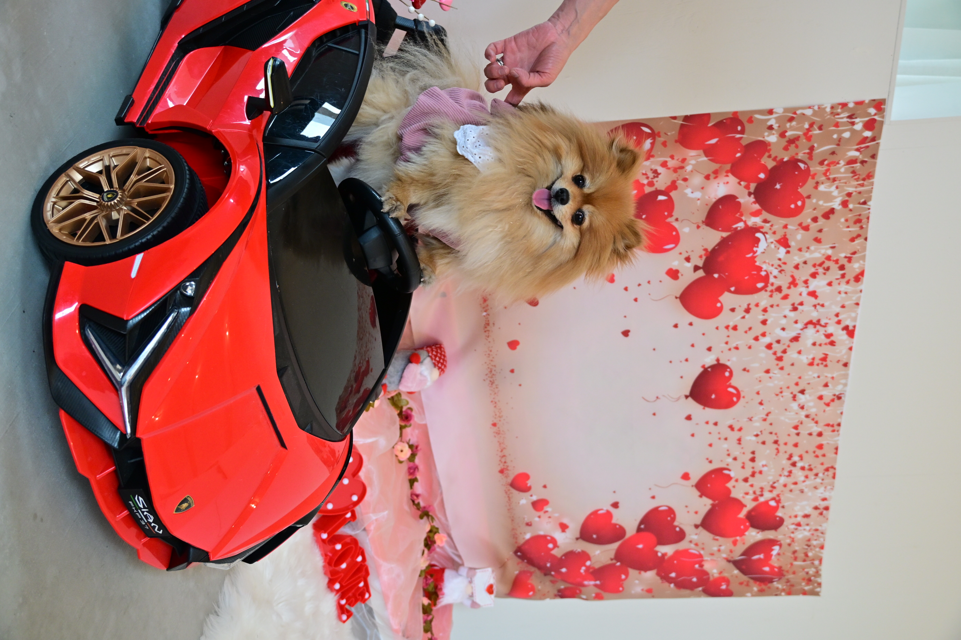 ドライブ・マイ・カー