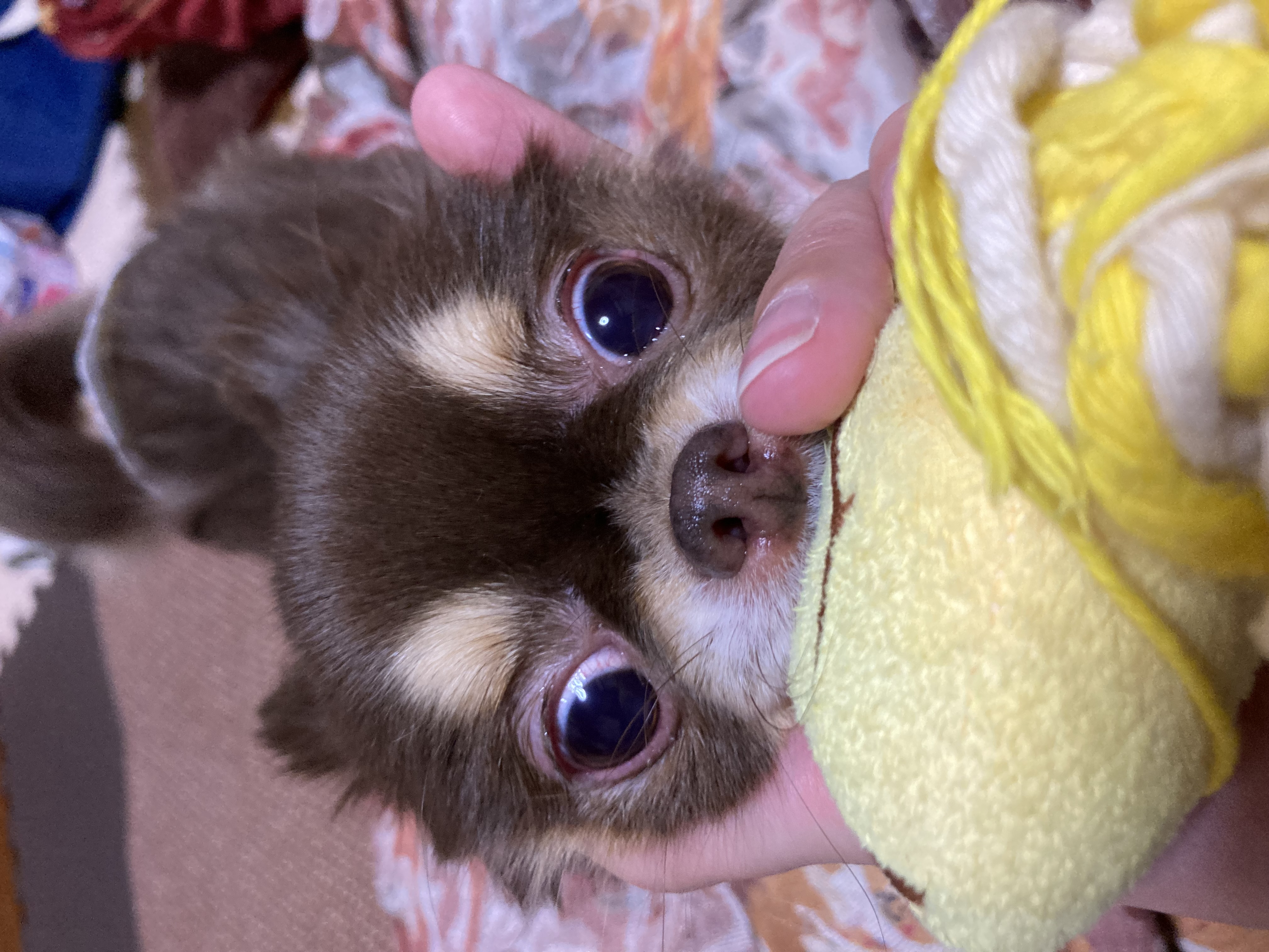 絶対離さない！！