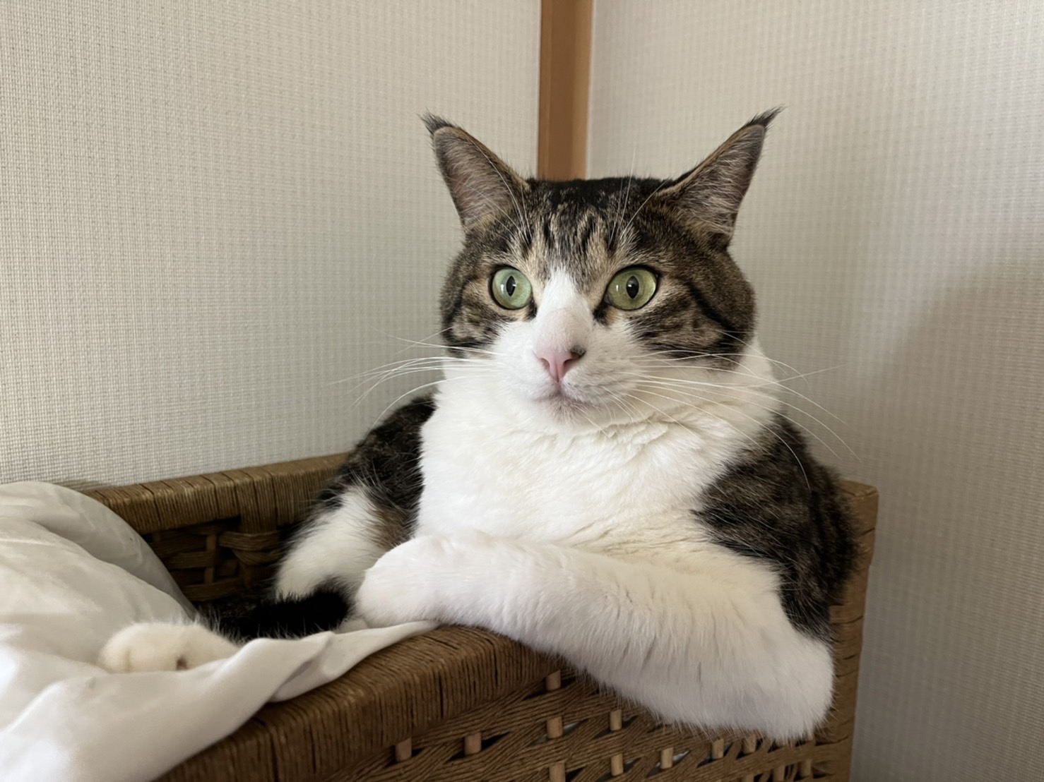 ん、体どこいった？