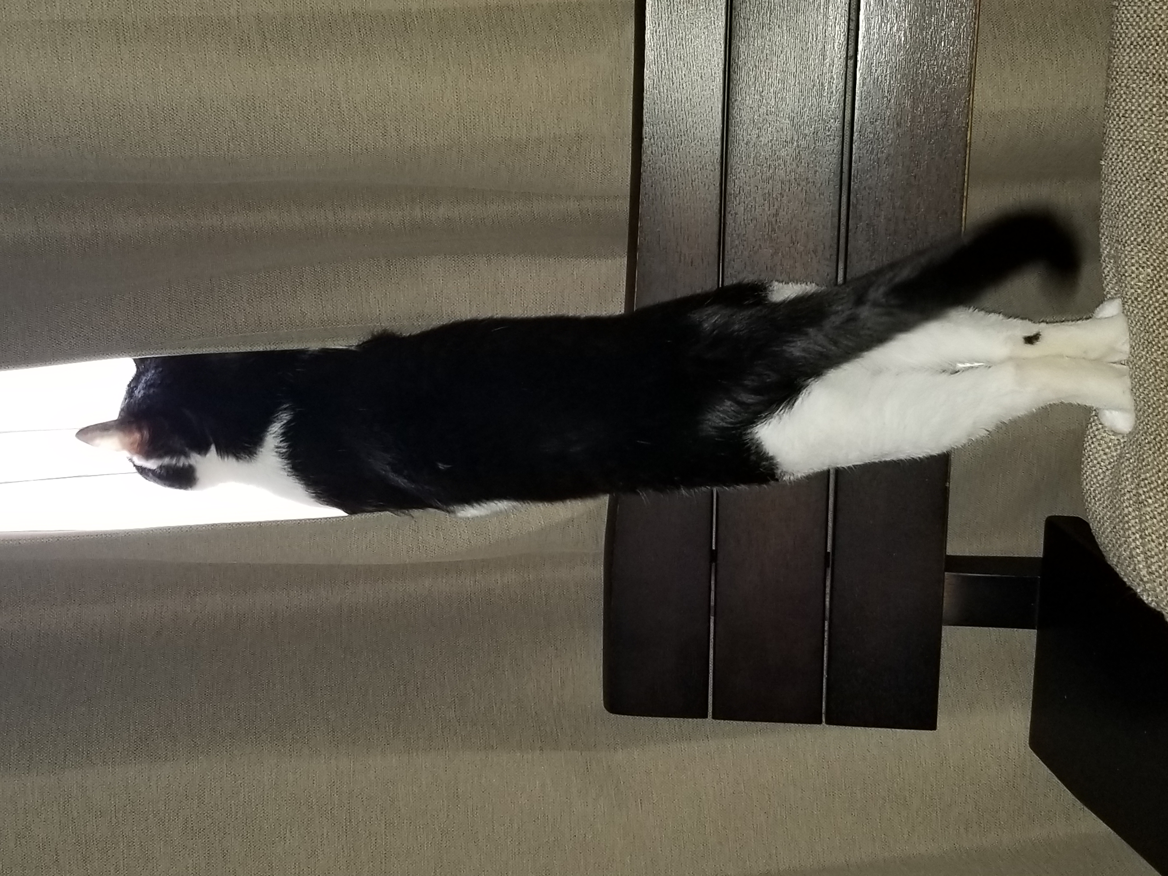 ホームセキュリティ